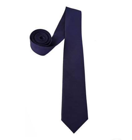 Picture of ZAUGE BLUE PLAIN MICRO FIBER NECK TIE